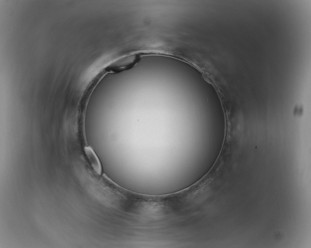 X0000112970344200909031050