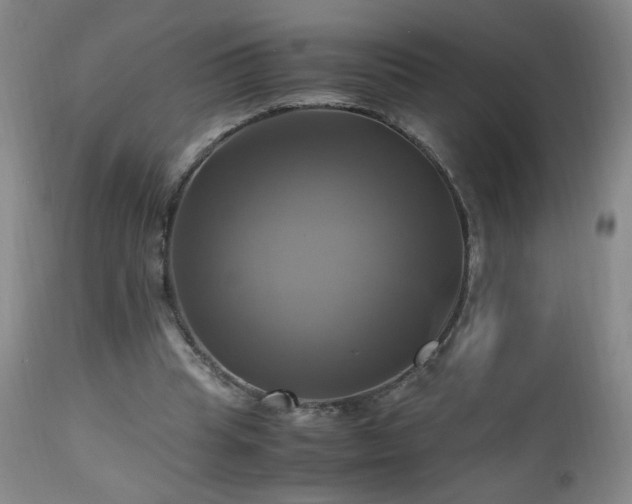 X0000112970345200909031050