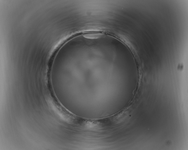 X0000112970346200909031050