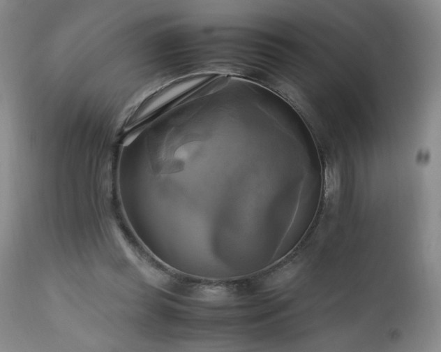 X0000112970349200909031050