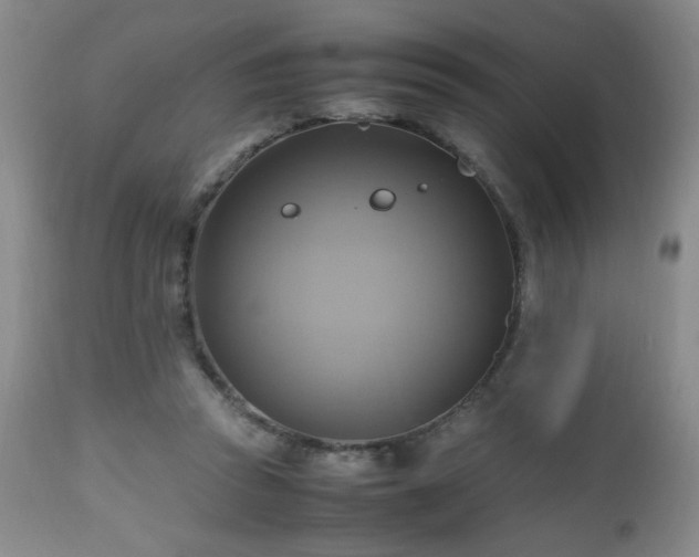 X0000112970353200909031051