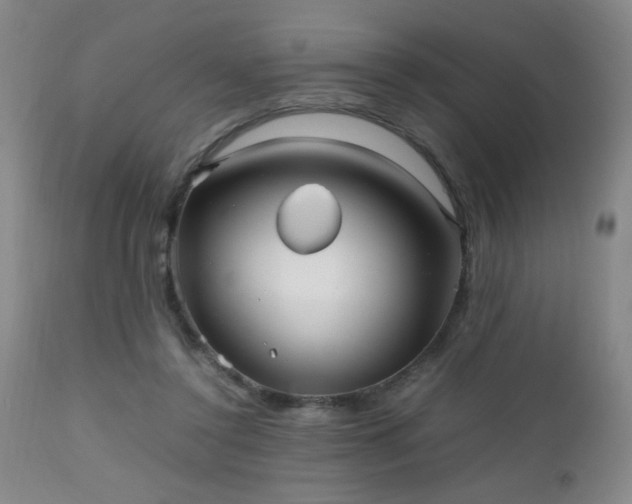 X0000112970356200909031051