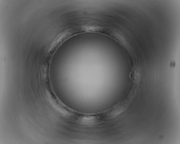 X0000112970357200909031051