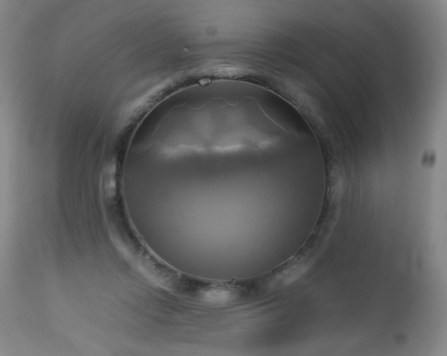 X0000112970358200909031051