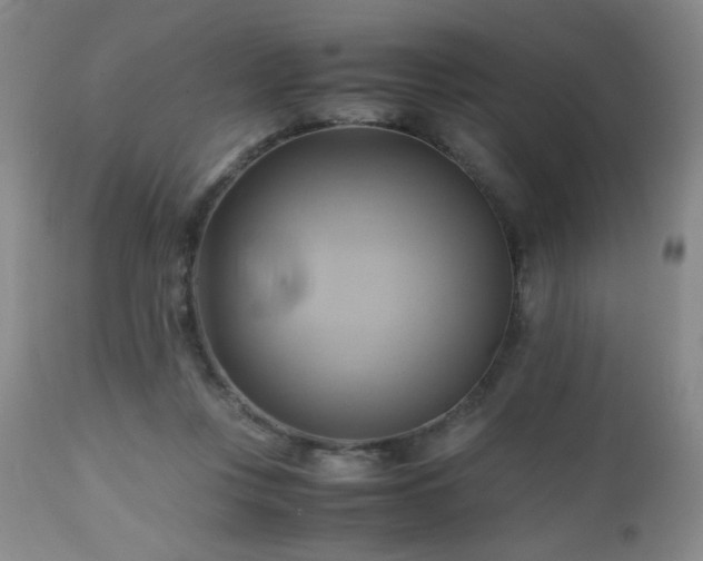 X0000112970359200909031051