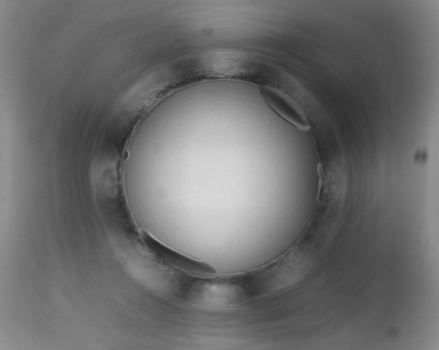 X0000112970360200909031051