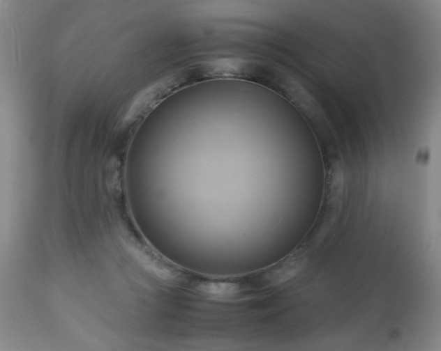 X0000112970361200909031051