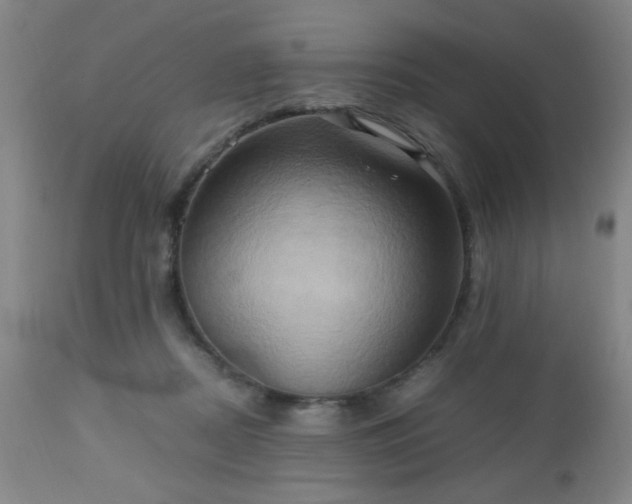 X0000112970362200909031051