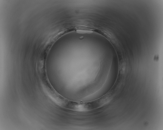 X0000112970365200909031051