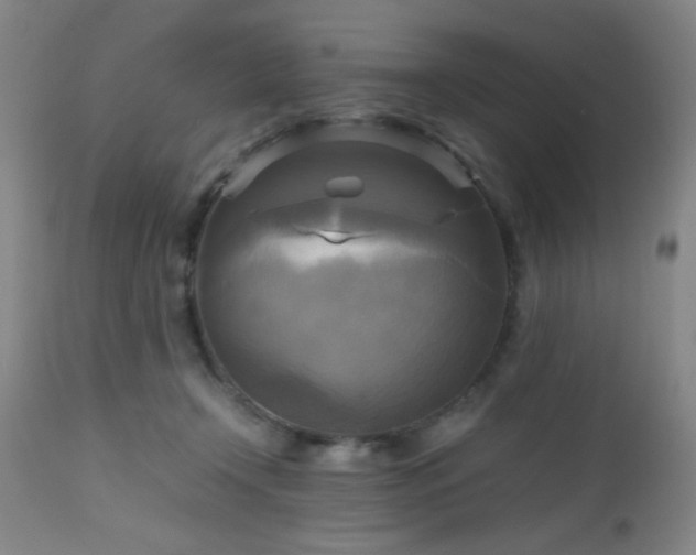 X0000112970366200909031051