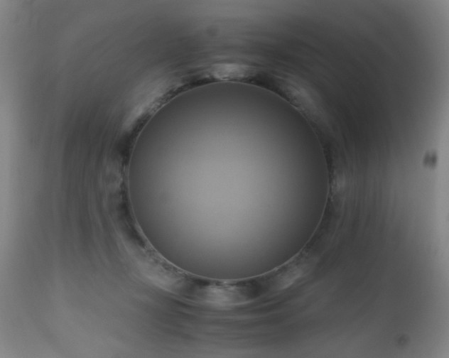 X0000112970367200909031051