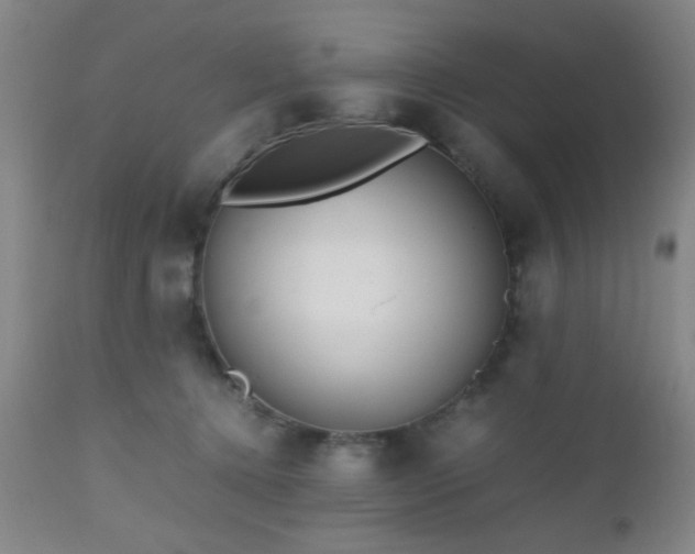 X0000112970368200909031051