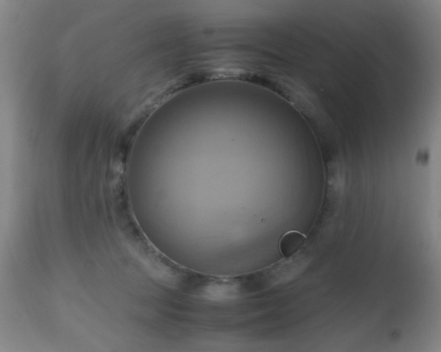 X0000112970369200909031051