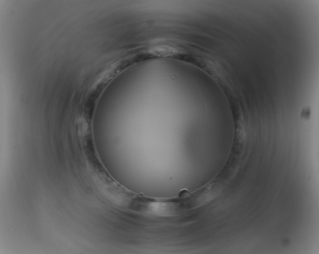 X0000112970371200909031051