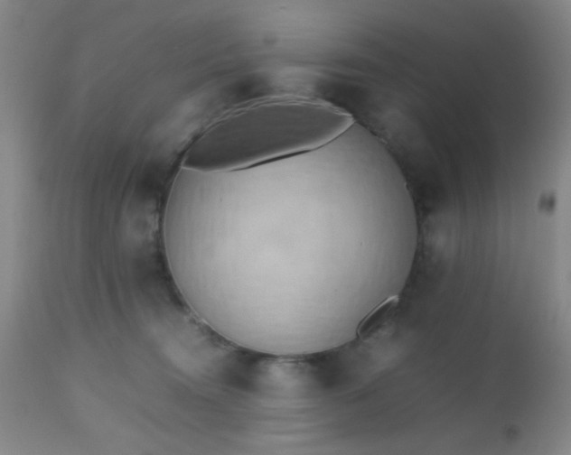 X0000112970372200909031051