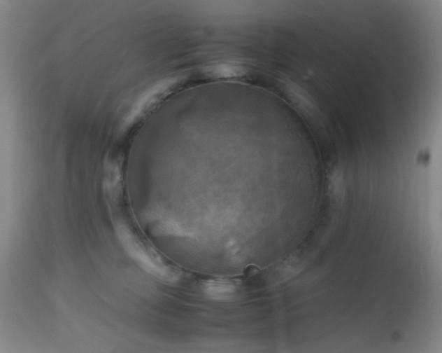 X0000112970373200909031051