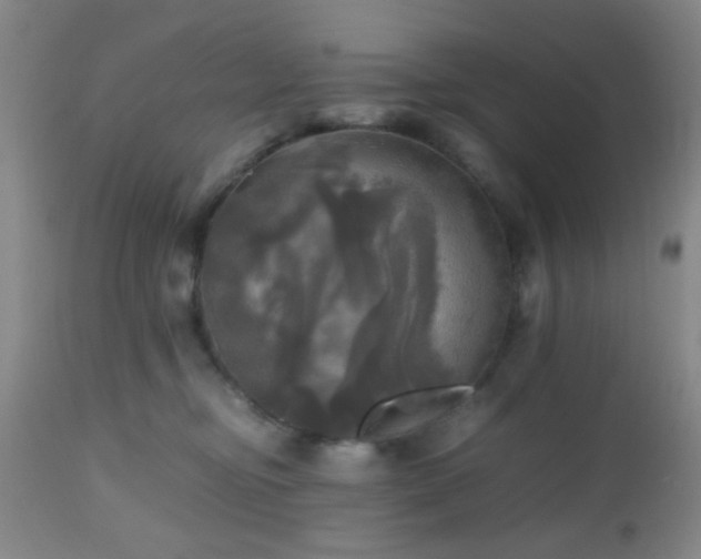 X0000112970374200909031051