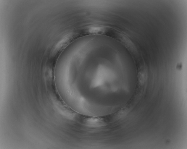 X0000112970375200909031051