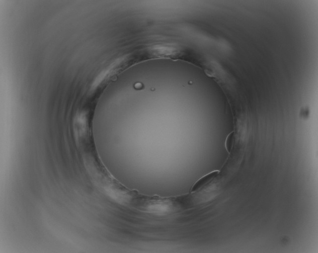 X0000112970377200909031051