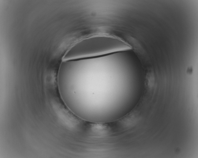 X0000112970380200909031051