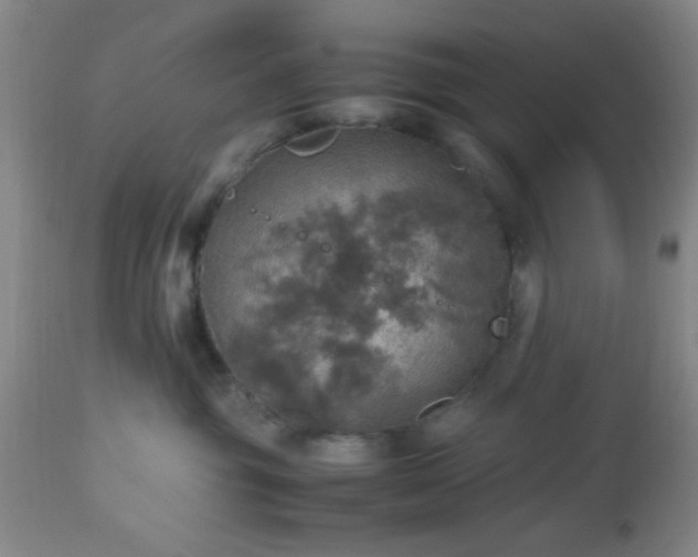 X0000112970381200909031051