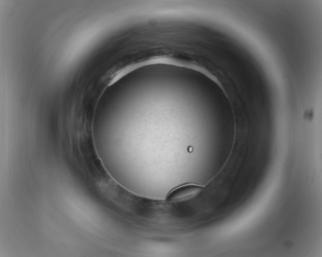 X0000112970382200909031051