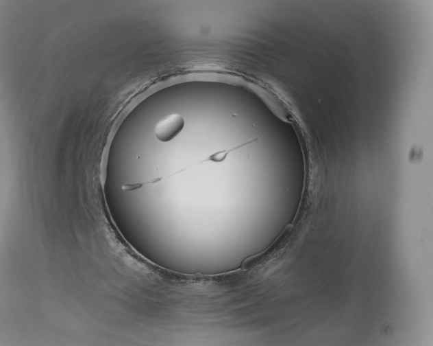 X0000112970385200909031050