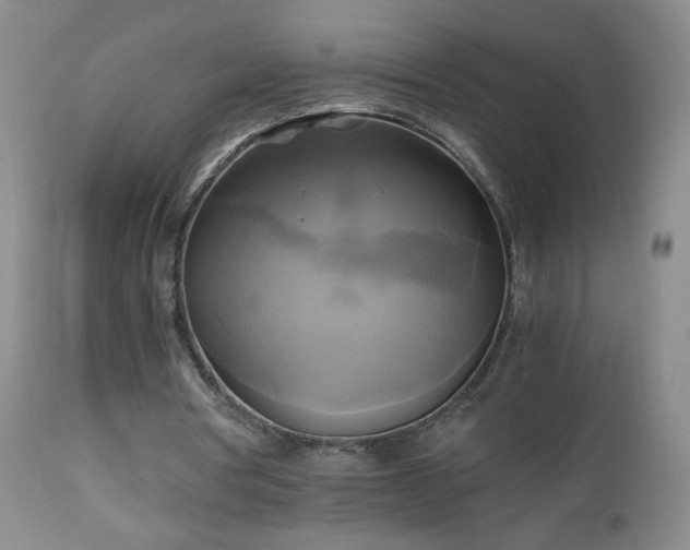 X0000112970386200909031050