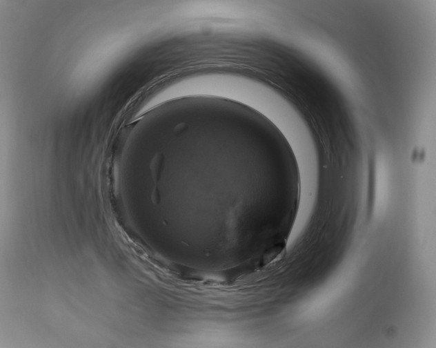 X0000112970387200909031050