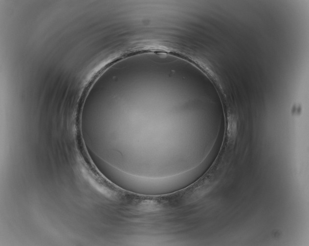 X0000112970390200909031050