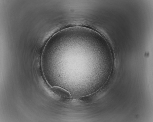 X0000112970393200909031050