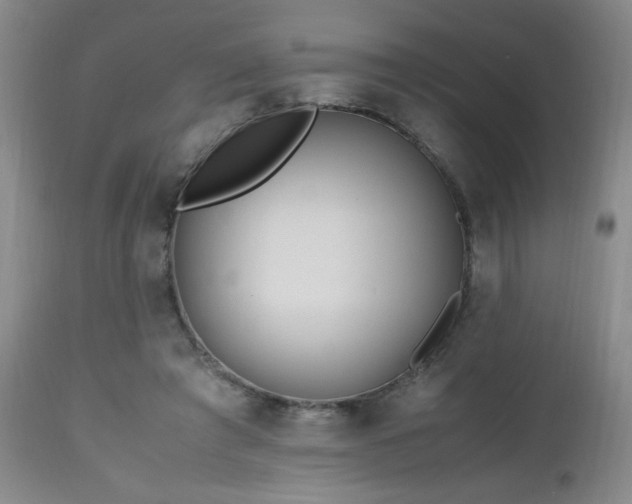 X0000112970401200909031050