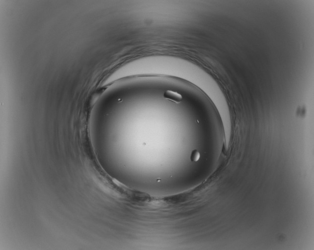 X0000112970409200909031050