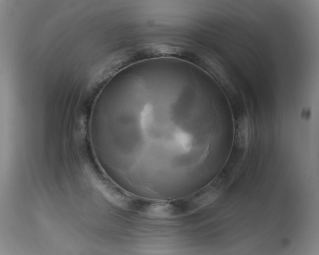 X0000112970410200909031050