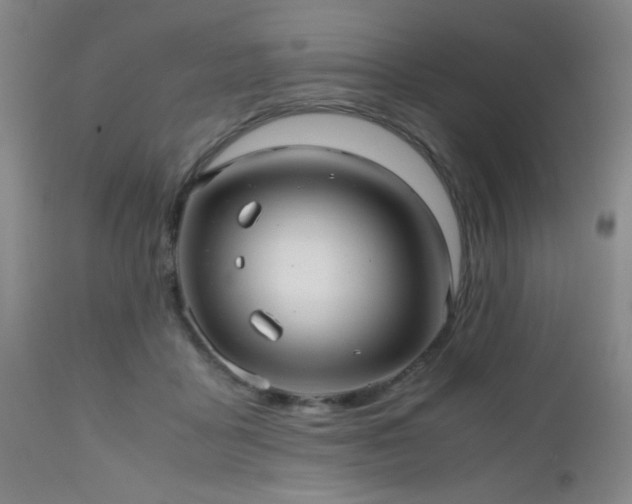 X0000112970411200909031050