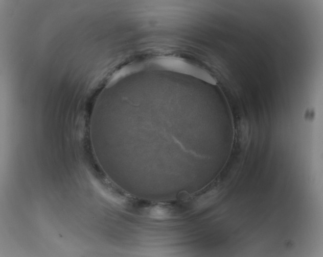 X0000112970412200909031050