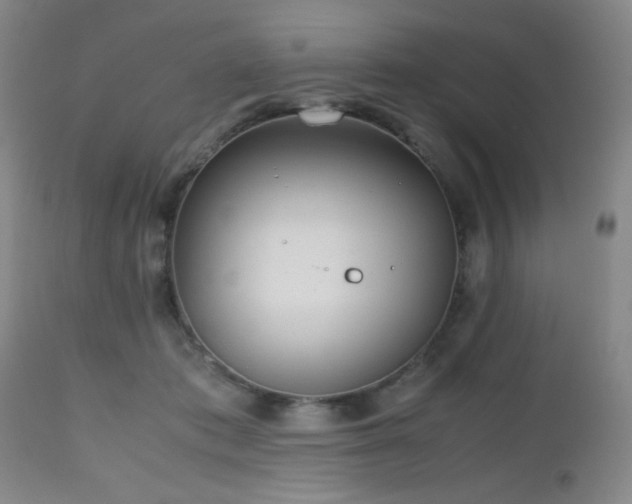 X0000112970413200909031050