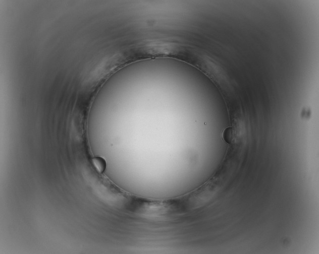 X0000112970414200909031050