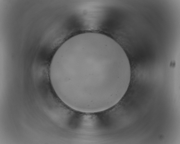 X0000112970415200909031050