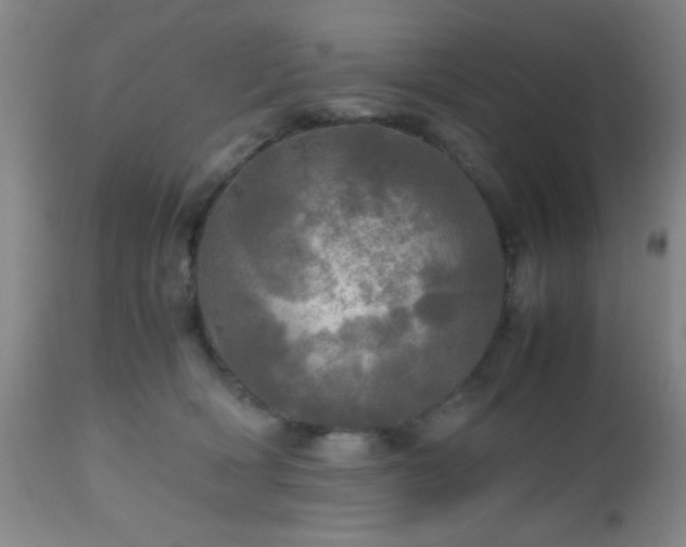 X0000112970418200909031050