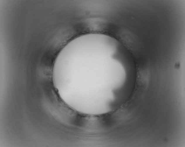 X0000112970419200909031050