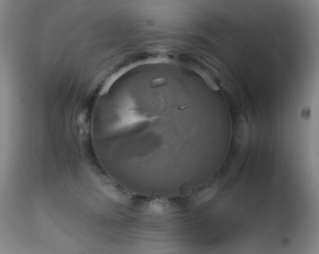 X0000112970420200909031050