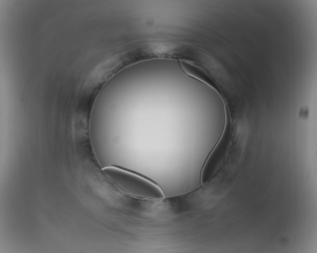 X0000112970421200909031050