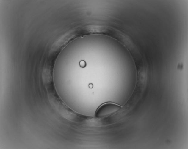 X0000112970422200909031050