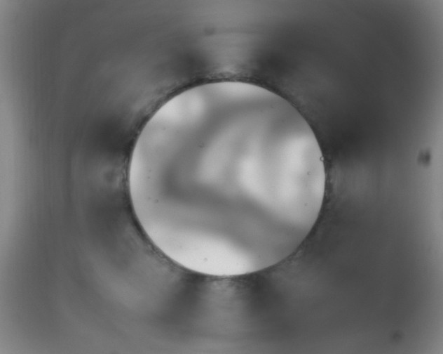 X0000112970423200909031050