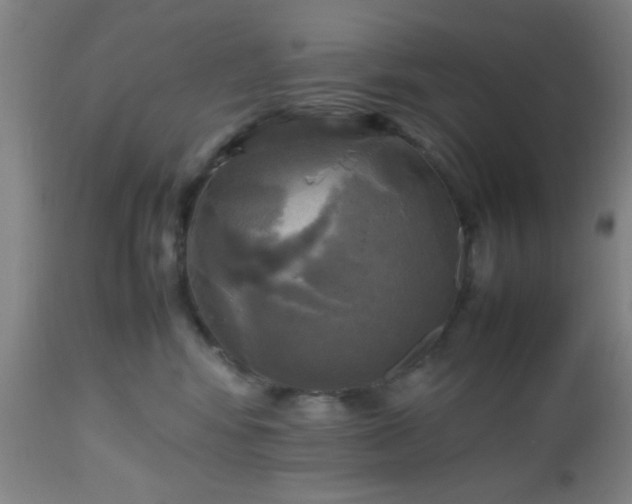 X0000112970424200909031050