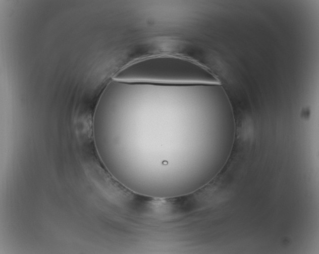 X0000112970425200909031050