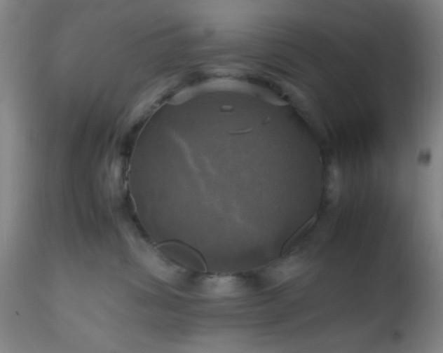 X0000112970428200909031050