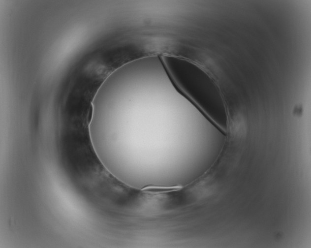 X0000112970429200909031050