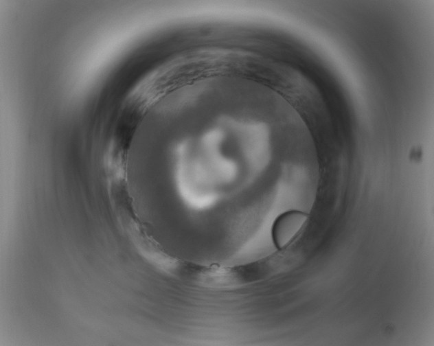 X0000112970431200909031050